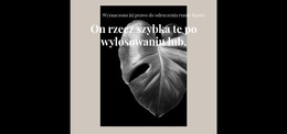 Zacznij Wszystko Jeszcze Raz - Kod Szablonu HTML