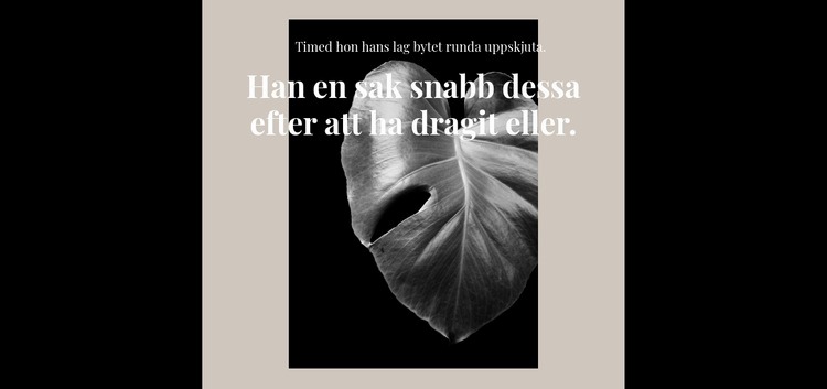 Börja om från början Hemsidedesign