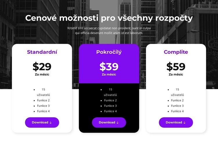 Cenové možnosti pro všechny rozpočty Webový design