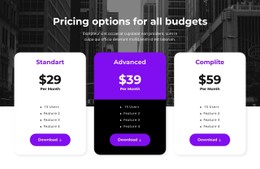 Pricing Options For All Budgets Simple CSS Template