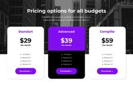 Pricing options for all budgets - CSS Template by Nicepage