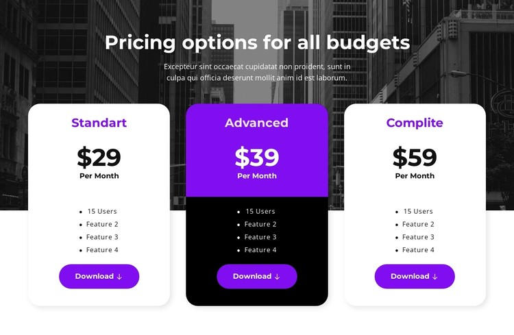 Pricing options for all budgets CSS Template