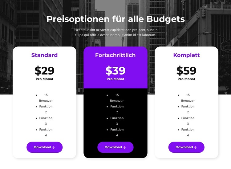 Preisoptionen für alle Budgets CSS-Vorlage