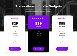 Preisoptionen Für Alle Budgets – Ultimative Einseitenvorlage