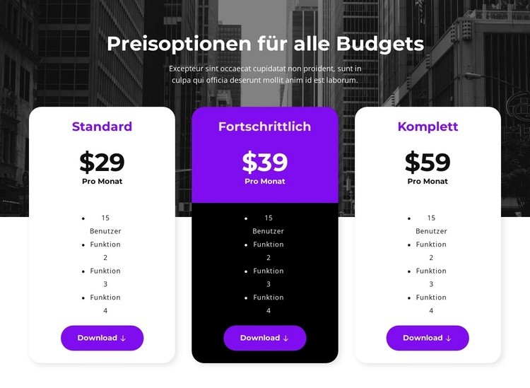 Preisoptionen für alle Budgets Eine Seitenvorlage