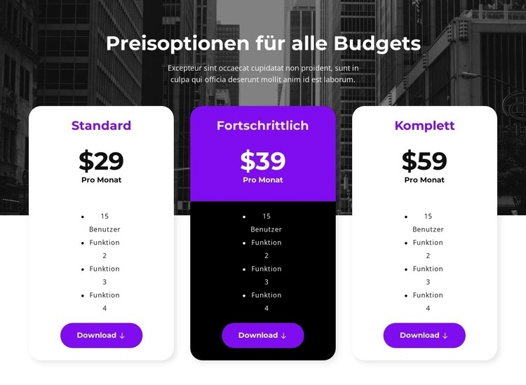 Preisoptionen für alle Budgets HTML5-Vorlage