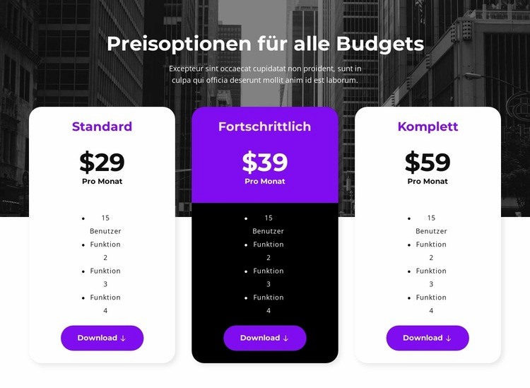 Preisoptionen für alle Budgets Website design