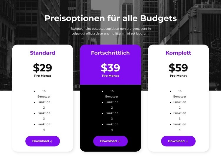 Preisoptionen für alle Budgets Website-Modell