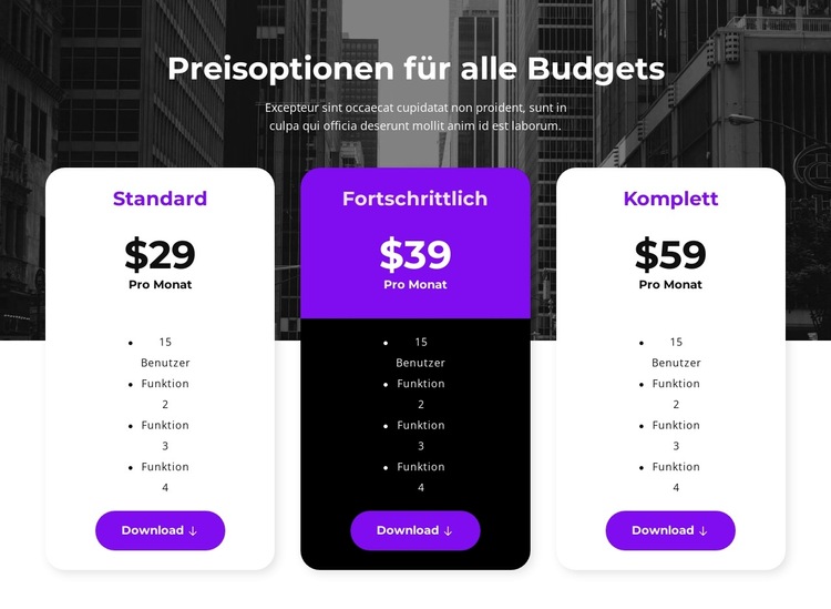 Preisoptionen für alle Budgets Website-Vorlage