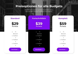 Preisoptionen Für Alle Budgets – Vielseitiges WooCommerce-Theme