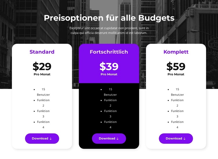 Preisoptionen für alle Budgets WordPress-Theme
