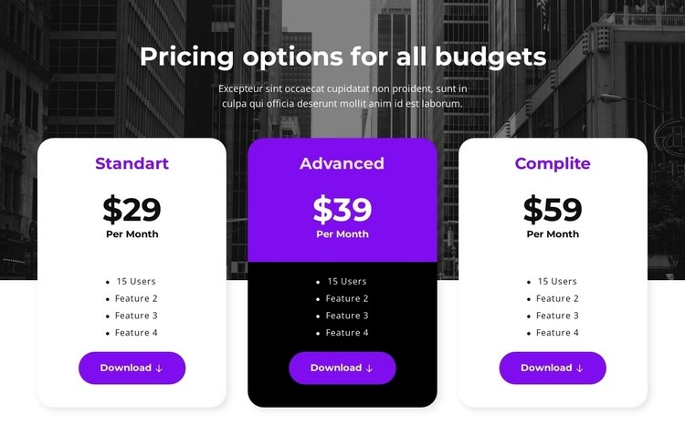Pricing options for all budgets Elementor Template Alternative