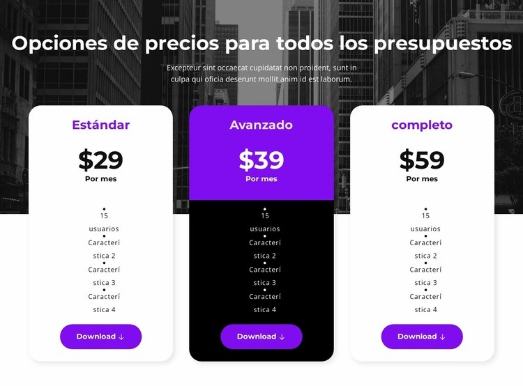 Opciones de precios para todos los presupuestos Creador de sitios web HTML