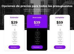 Opciones De Precios Para Todos Los Presupuestos