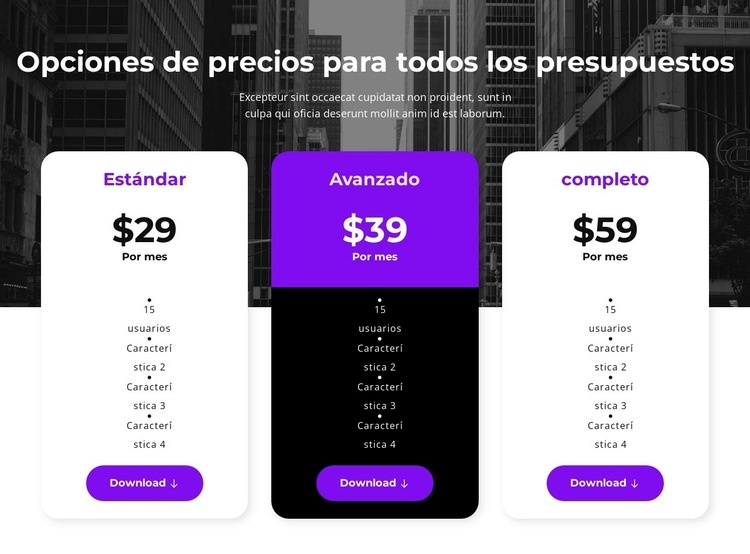 Opciones de precios para todos los presupuestos Diseño de páginas web