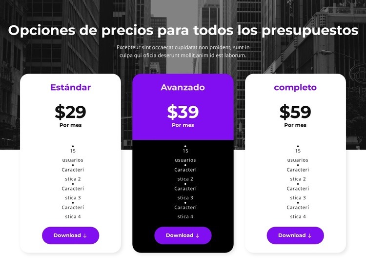 Opciones de precios para todos los presupuestos Plantilla HTML5