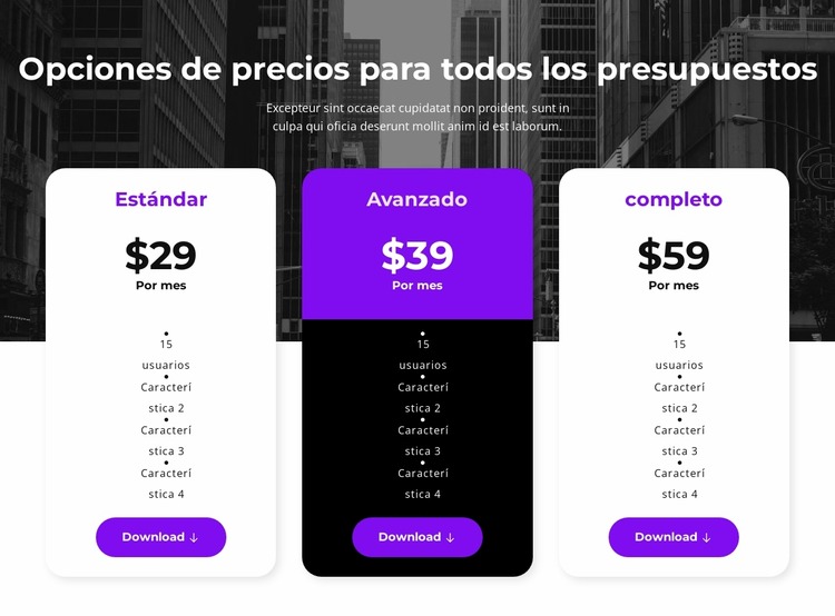 Opciones de precios para todos los presupuestos Plantilla Joomla