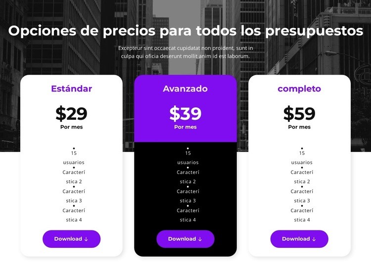 Opciones de precios para todos los presupuestos Plantilla