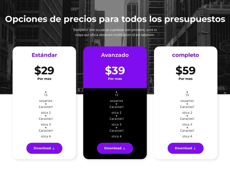 Opciones de precios para todos los presupuestos Tema de WordPress