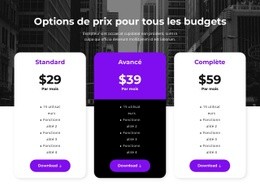 Options De Prix Pour Tous Les Budgets - Conception De Sites Web Gratuite
