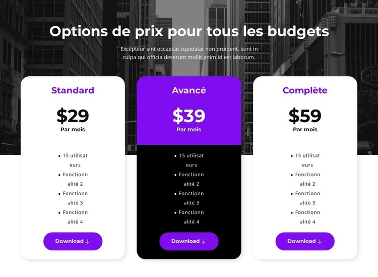 Options de prix pour tous les budgets Conception de site Web