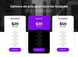Options De Prix Pour Tous Les Budgets #Website-Builder-Fr-Seo-One-Item-Suffix