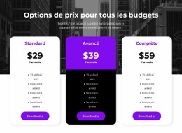 Options De Prix Pour Tous Les Budgets - HTML Template Generator
