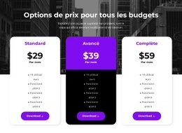 Outils De Conception Pour Options De Prix Pour Tous Les Budgets