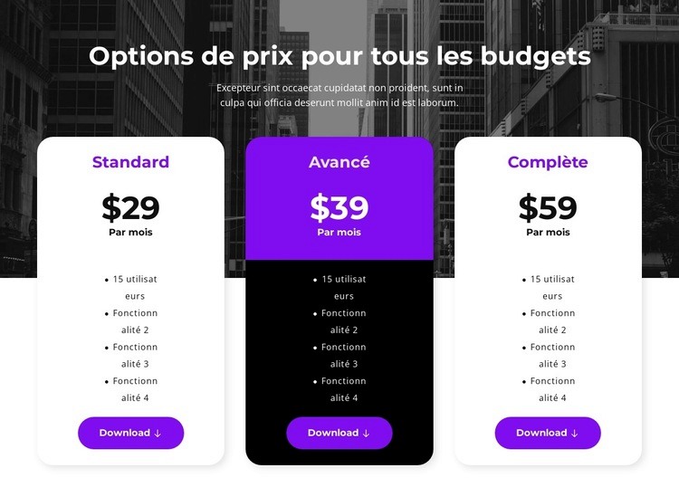 Options de prix pour tous les budgets Maquette de site Web