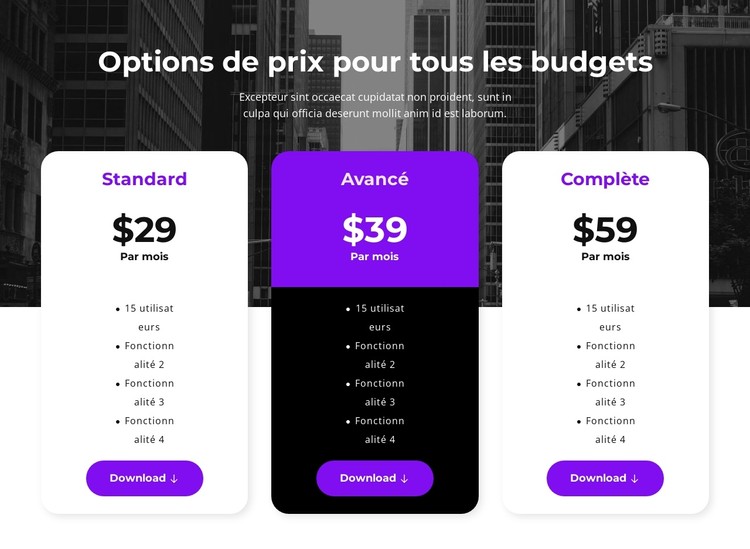 Options de prix pour tous les budgets Modèle CSS