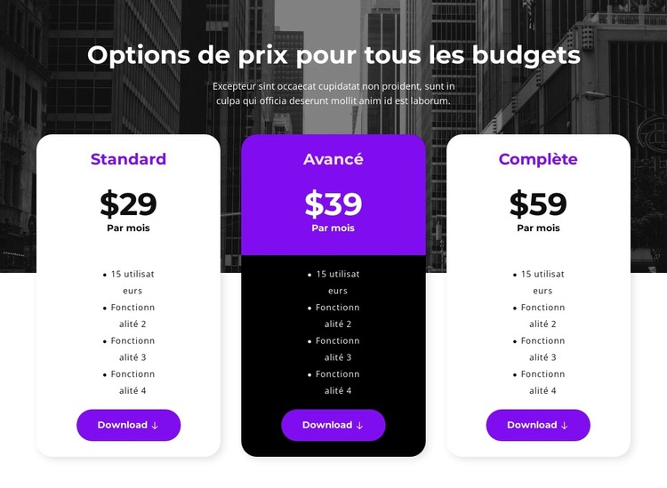 Options de prix pour tous les budgets Modèle HTML