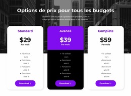 Options De Prix Pour Tous Les Budgets #Joomla-Templates-Fr-Seo-One-Item-Suffix