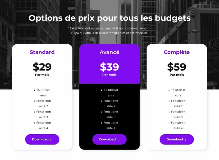 Options de prix pour tous les budgets Modèle Joomla