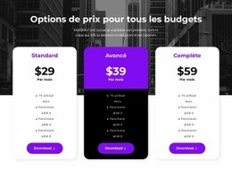 Options De Prix Pour Tous Les Budgets - Modèle D'Une Page