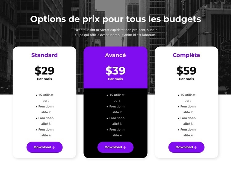 Options de prix pour tous les budgets Modèle d'une page