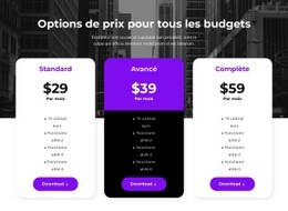 Options De Prix Pour Tous Les Budgets - Page De Destination Simple