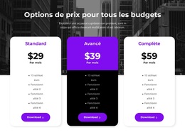 Options De Prix Pour Tous Les Budgets #Wordpress-Themes-Fr-Seo-One-Item-Suffix