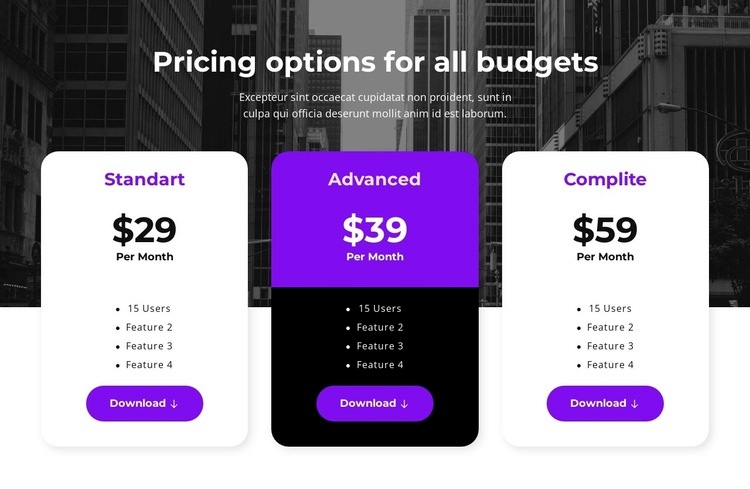 Pricing options for all budgets Homepage Design