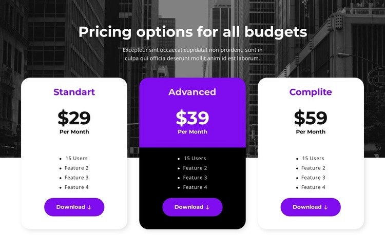 Pricing options for all budgets Html Code Example