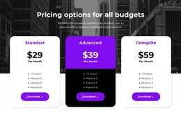 HTML Web Site For Pricing Options For All Budgets