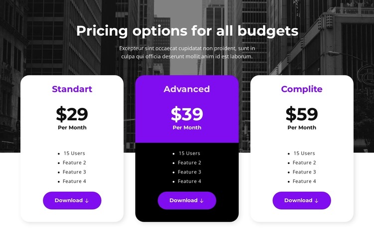 Pricing options for all budgets HTML Template