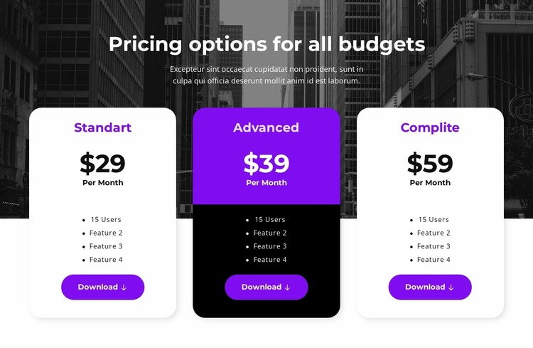 Pricing options for all budgets Html Website Builder
