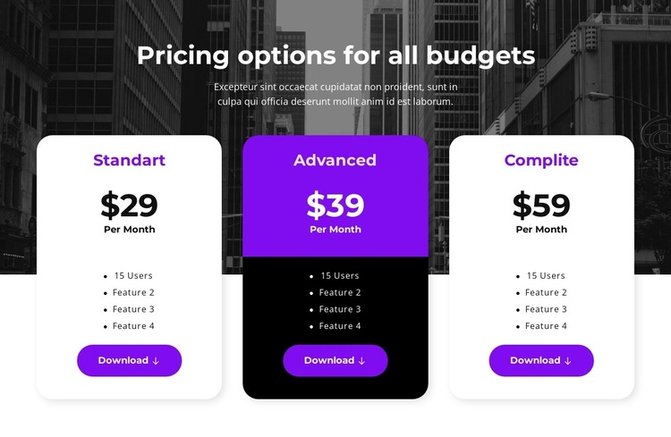 Pricing options for all budgets HTML5 Template