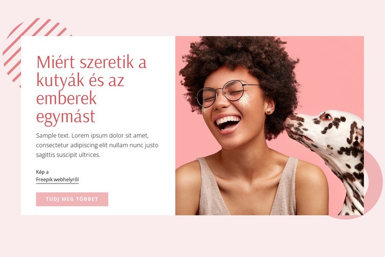 A kutya viselkedése és képzése CSS sablon