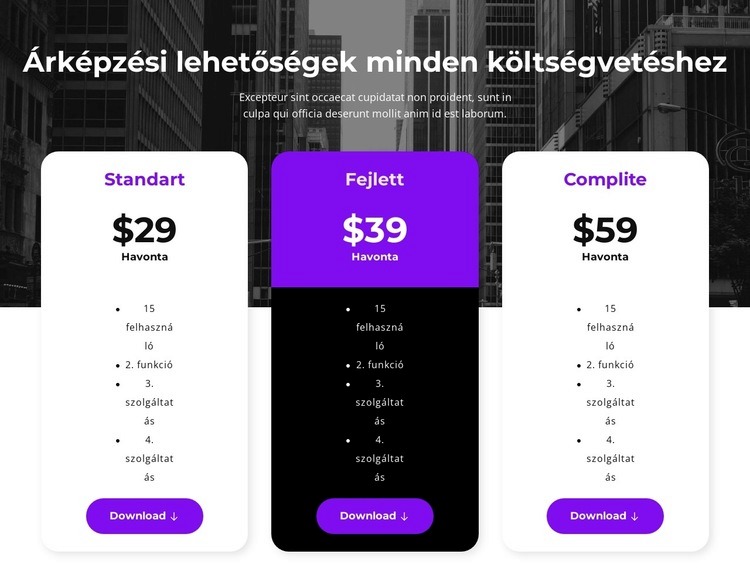 Árképzési lehetőségek minden költségvetéshez HTML Sablon