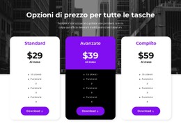 Opzioni Di Prezzo Per Tutte Le Tasche Modello CSS Semplice