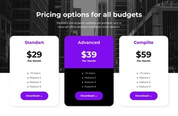 Pricing Options For All Budgets Joomla Template