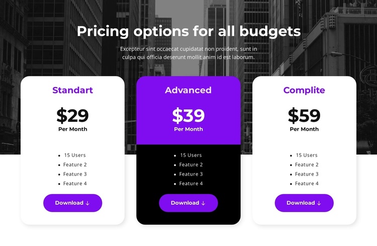 Pricing options for all budgets Joomla Template