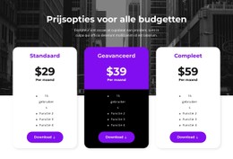 Prijsopties Voor Alle Budgetten Eenvoudige CSS-Sjabloon