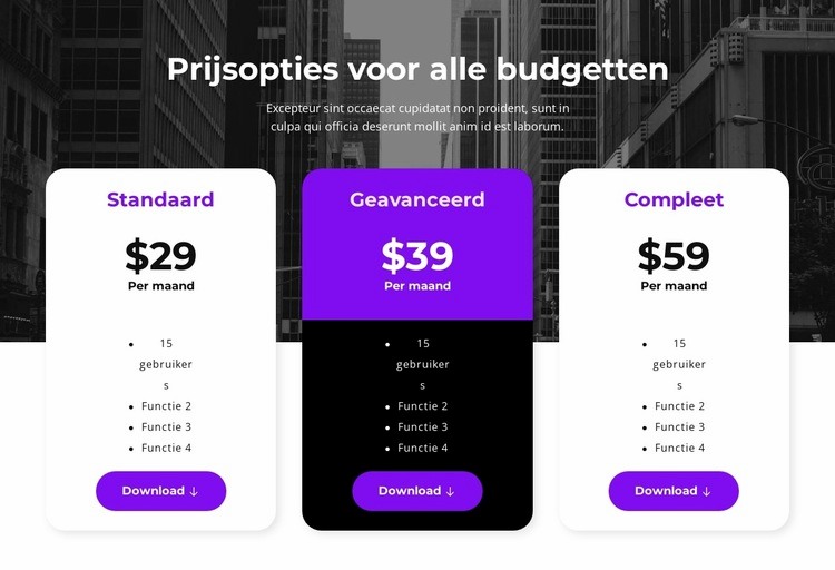 Prijsopties voor alle budgetten Website Builder-sjablonen